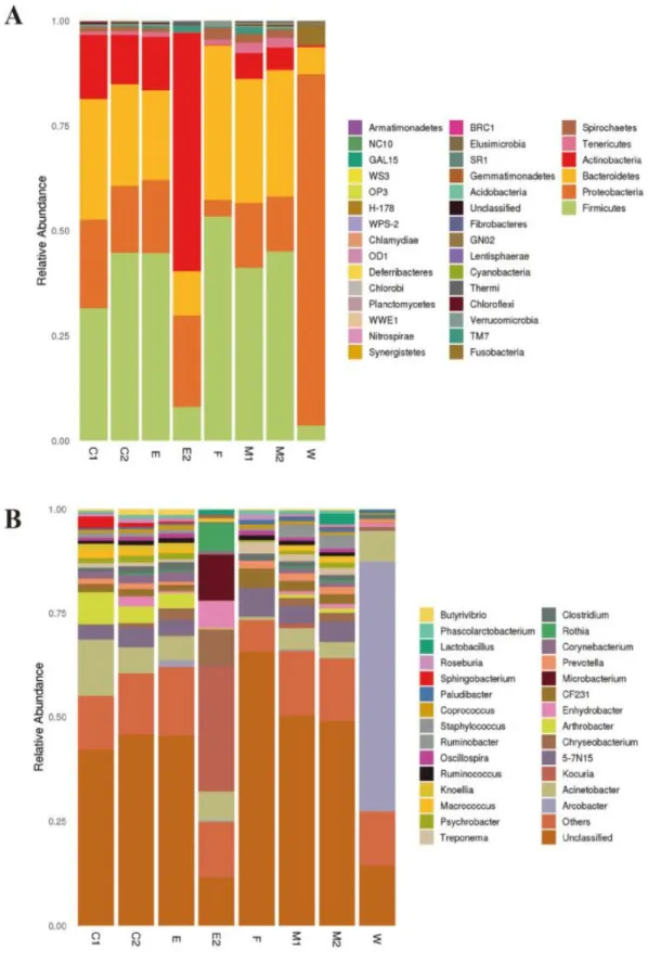 Fig. 3.  Relative abundance and diversity of bacteria phylum (A) and bacteria genus (B) in different sampling sites