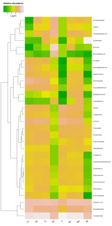 Fig. 4.  Realtive abundance heatmap of the bacteria in the level of genus. C1, pre-sterilized cow’s teats; C2, post-sterilized cow’s teats; E, 