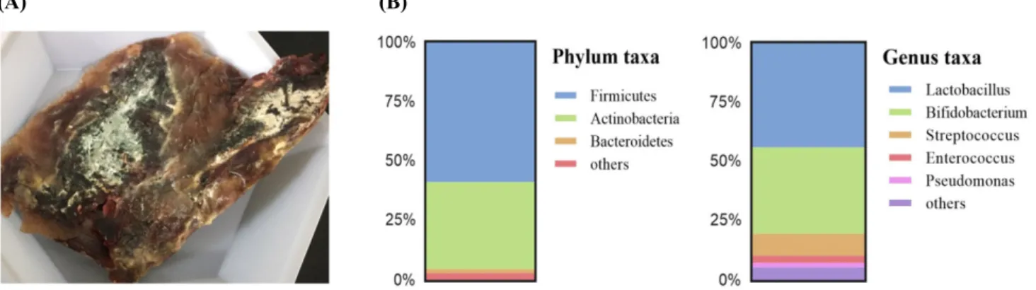 Fig. 1. Observation of surface (A) and metagenomic composition (B) of dry-aged beef. Dry aging process was performed at 1℃–4℃ and  a relative humidity of 80%–90% for 50 days