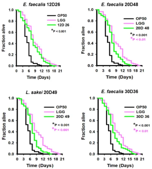 Fig. 4.  Extended life span of Caenorhabditis elegans fed with Lactobacillus sakei and Enterococcus faecalis strains (A) 12D26, (B) 20D48,  (C) 20D49 and (d) 30D36 compared with Escherichia  coli OP50 and LGG