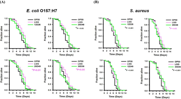 Fig. 5.  Killing assay of Caenorhabditis elegans fed with Lactobacillus sakei and Enterococcus faecalis using (a) Escherichia coli O157:H7  and (b) Staphylococcus aureus Newman