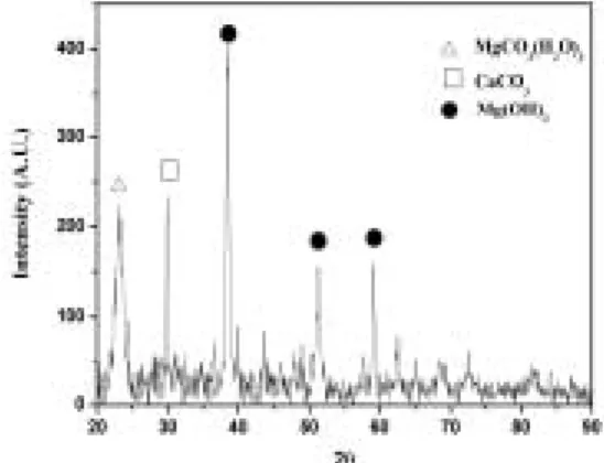 Fig. 6. XRD patterns of precipitate