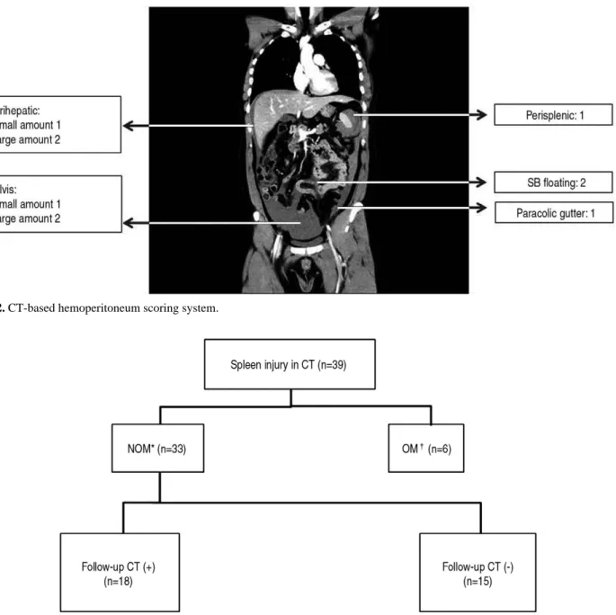 Fig. 2. CT-based hemoperitoneum scoring system.