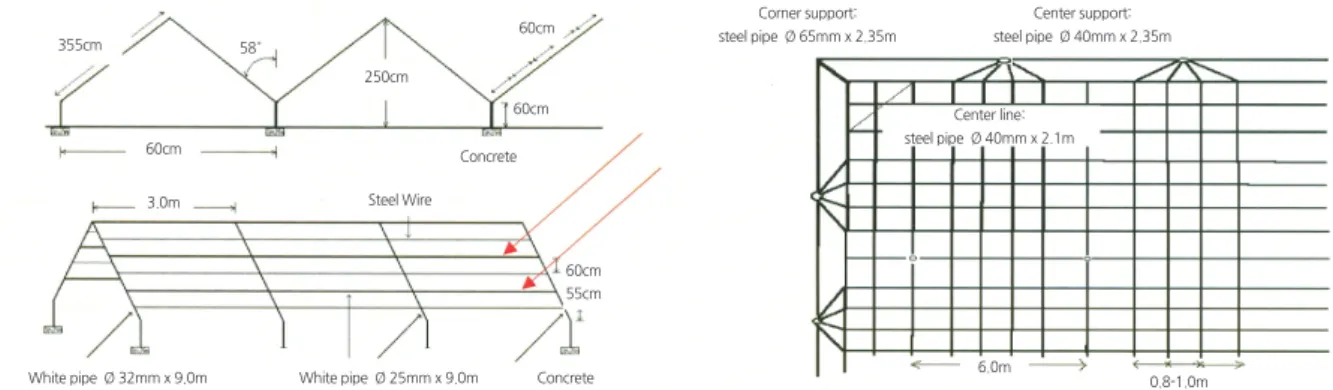 Fig. 2. General structural design of tree trellis systems for Y and Y-II-shaped trellis types (left), and pergola- and vase-pergola- vase-pergola-shaped trellis types (right) used to train ‘Manpungbae’ pear trees