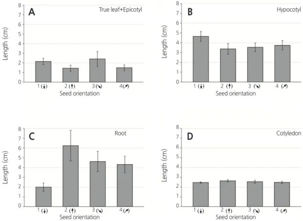 Fig. 4. Effect of seed sowing orientation (from left to right: vertical with hypocotyl end down [No