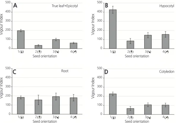 Fig. 5. Effect of seed sowing orientation (from left to right: vertical with hypocotyl end down [No