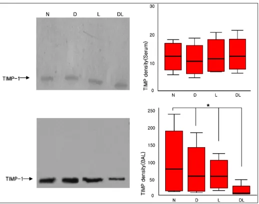 Figure 2.  TIMP-1 expression in serum (upper) and BAL fluids (lower) by western blot (left) and comparison of  TIMP-1 expression in four groups (right) (N: normal, D: DM, L: LPS, DL: DM + LPS) (*p &lt; 0.05 vs N, D, L)