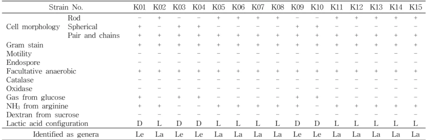 Table  4.  Some  morphological  and  biochemical  characteristics  of  lactic  acid  bacteria  from  Kaktugi  (K)