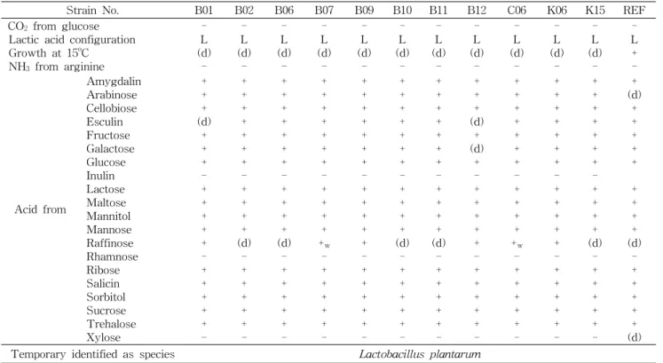 Table  7.  Identification  of  Lactobacilli  isolated  from  kimchi-B,  -C,  and  -K