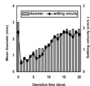 Fig. 2. Variation  of  aerobic  granule  diameter  and  settling velocity  operated  at  COD  loading  rate  5.4  kg∙