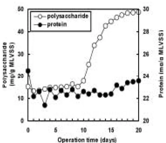Fig. 2를 보면 초기 반응조에 주입한 입상형태의 슬러 지 입경은 3  mm  내외였으나 공기방울에 의한 수리학적 와류와 입자간의 충돌로 인하여 반응 경과 하루 만에 0.7 mm 내외의 크기로 입자가 해체되는 현상이 발생하였다