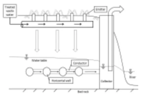 Fig. 1. Schematization of floodplain filtration.