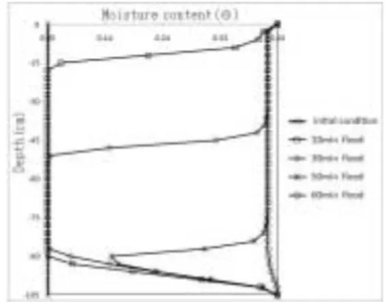 Fig. 5. Advances  of  saturation  front  modeled  by  HYDRUS- HYDRUS-1D for floodplain soil from Daegu.