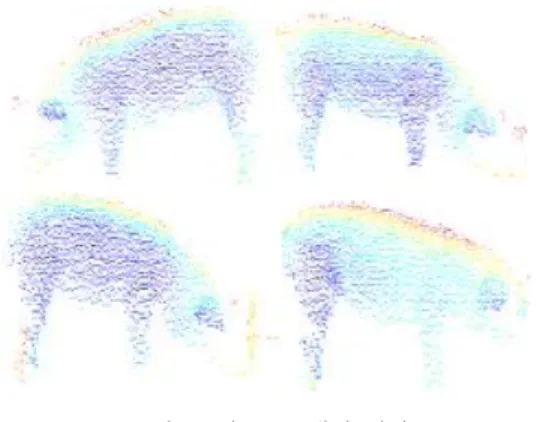 그림 2. 점 구름 돼지 영상 Fig. 2. Point cloud of pig