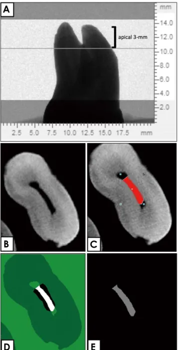 Fig. 1.  Visualization and qualitative evaluation of 3­dimensional 