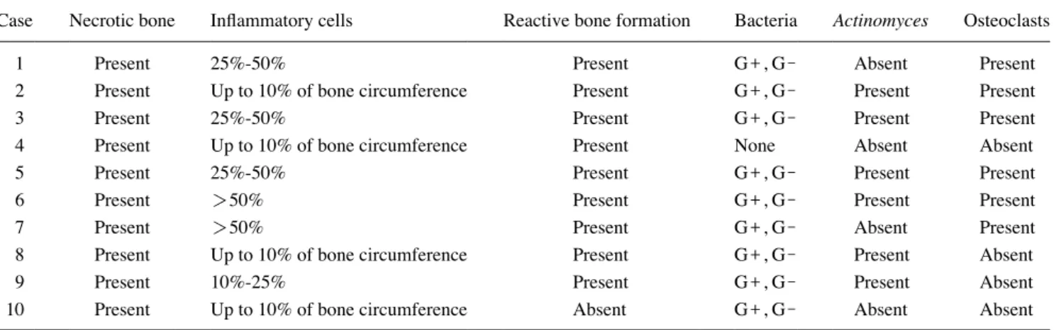 Fig. 4.  Histopathological characteristics  of a surgical specimen of  medication-re-lated osteonecrosis of the jaw (case 3)