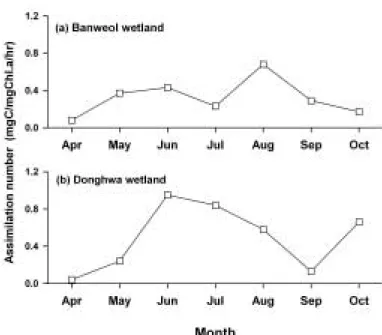 Fig. 4. Monthly variation of chlorophyll a concentration of the epiphytic algae attached on the reed in the Sihwa CW.