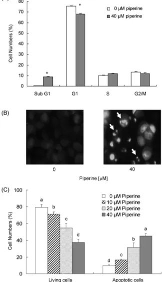 Fig.  1.  Effect  of  piperine  on  the  cell  viability  of  HT-29  cells.