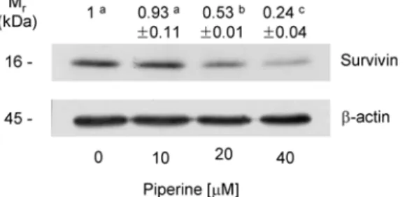 Fig.  8.  A  shematic  representation  of  a  possible  mechanism  of  piperine-induced  apoptosis  in  HT-29  cells.