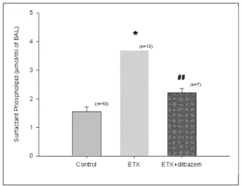 Figure 6. Effect of diltiazem on the lung leak caused  by endotoxin. Endotoxin had increased (P<0.01) lung  leak denoted by the protein content (mg/ two lungs)  in BAL compared with that of control rats