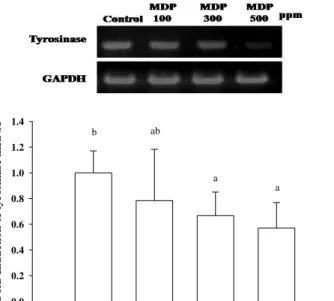 Fig.  3.  Effect  of  Paeonia  suffruticosa  water  extract  on  cell  viability  of  mouse  B16  melanoma  cells