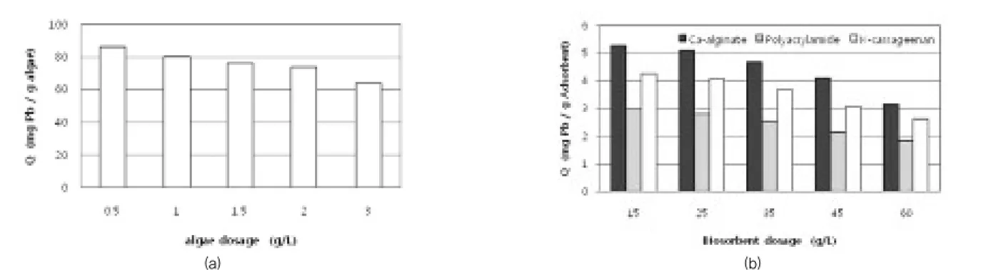 Fig. 4. Adsorption  capacity  by  (a)  non-immobilized  Chlorella  pyrenoidosa and  (b)  Chlorella  pyrenoidosa immobilized  with  Ca- Ca-alginate, polyacrylamide, and K-carrageenan depend on adsorbent dosage (initial Pb concentration: 200 mg/L).