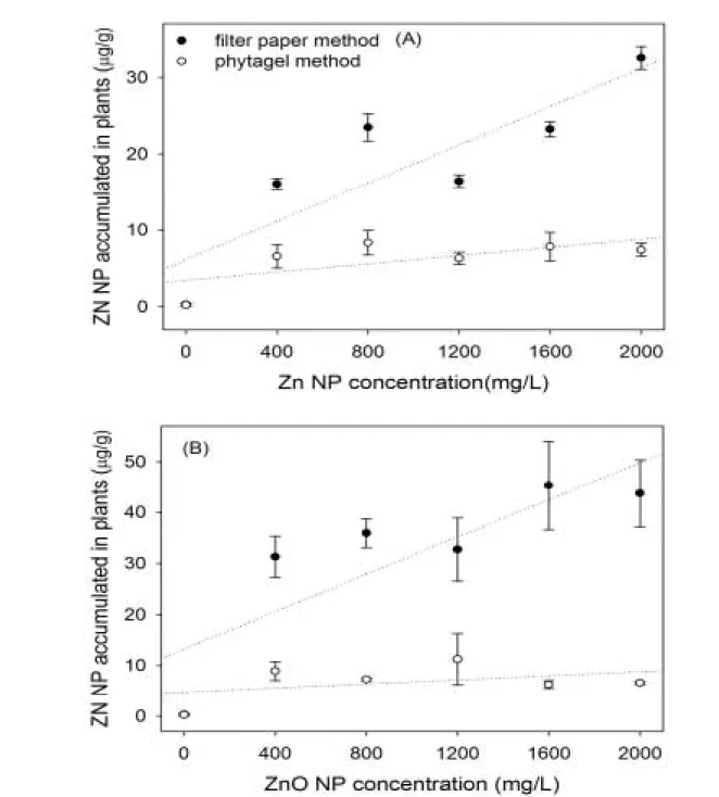 Fig. 1를 보면 filter paper 상태에서 phytagel 상태보 다 오이의 성장이 더 저해된 것으로 나타났다. Phytagel 에서 주 뿌리 외 곁뿌리가 phytagel 표면 위로 잘 발달되 어 표면 위의 수분과 영양분을 받아 성장하며 phytagel속 NP의 영향은 일부만 받아 생체 성장이 filter paper에 비 해 좋은 것으로 보였다