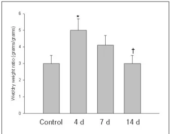 Figure 1.  Increased lung fluid after bleomycin treatm- treatm-ent. *p<0.05 compared with saline treatment, †p<0.01  compared with 4 days after bleomycin treatment.