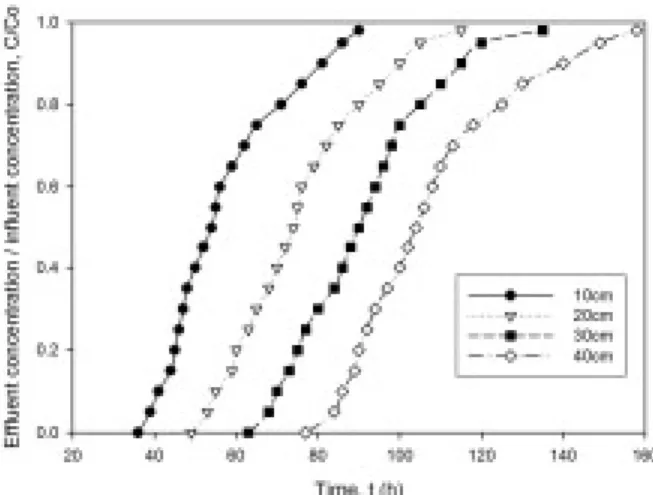 Fig. 7. Effect  of  packed  heights  for  breakthrough  curve  of erythrosine (Co = 1,000 mg/L,  u = 2 cm 3 /min).
