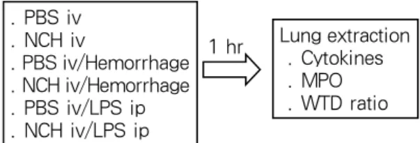 Figure  1.   Design  of  the  experiment.  Mice  were  di- di-vided into 6 groups and each group was composed of  5 mice