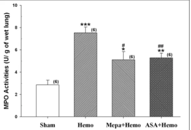 Figure 4. Two  hours  after  hemorhage,  the  hemo- hemo-rrhaged  rats  had  increased  bronchoalveolar  lavage  protein  concentrations  compared  to  sham-treated  rats