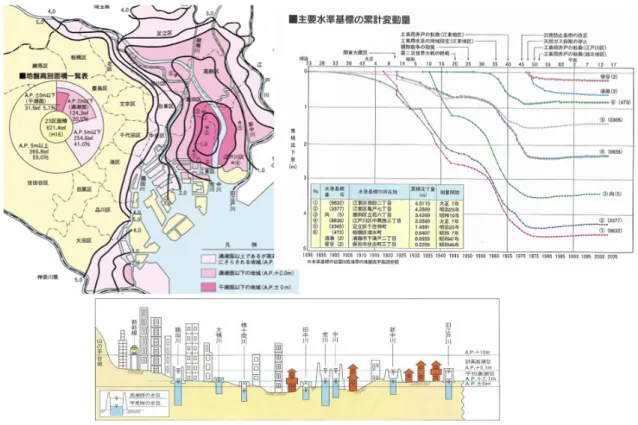 Fig. 1. Tokyo BSLCs: Below Sea Level Cities 2.2 Flood Risk Estimation