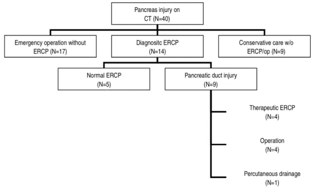 Fig. 1. Flow chart illustrating the patients reviewed in this study