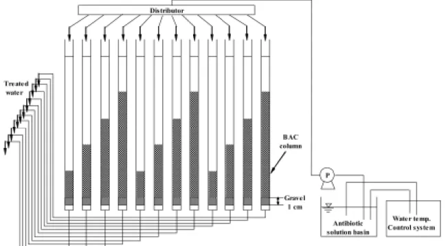 Fig. 1. Schematic diagram of BAC column.