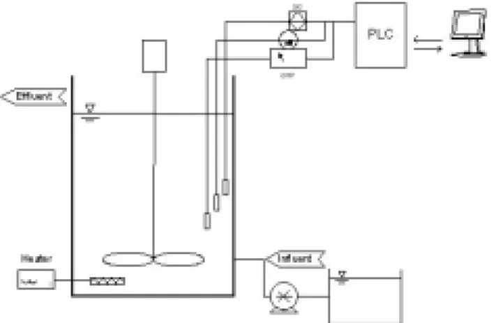 Fig. 1. Schematic of SBR system.