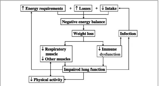 Figure  4.   Negative  feedback  cycle  between  nutrition  and  lung  function.