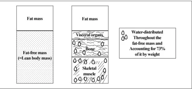 Figure  5.   The  two-compartments  model  of  body  composition. 에서는  제지방이  20%까지  감소하며 5   폐재활  치료를  받는  환자의  35% 6 ,  악화  시에는  70%까지  감소된다 19 