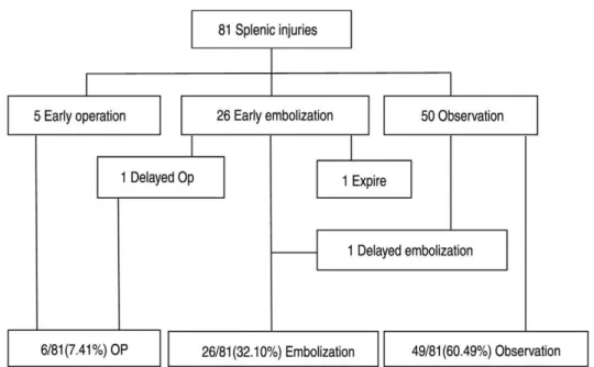 Table 3. Differences of CT findings between intervention and conservation group in late group