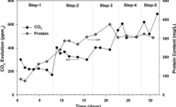 Fig. 3. CO 2  evolution and protein content of the GAC flui- flui-dized bioreactor. 상으로  첨가된  GAC  양과는  무관하였다