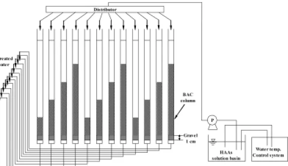 Fig. 1. Schematic diagram of BAC column system.