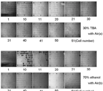 Fig. 6. Effect of co-injection of air on 40% TBA-cosolvent  (0.25 mL/min); m/mo is the ratio of mass of NAPL  to the initial mass; cosolvent : air = 1 : 3.
