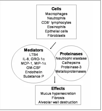Figure  2.   Cells  and  Mediators  Involved  in  the  Pathog