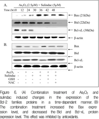 Figure  6. (A)  Combination  treatment  of  As 2 O 3 and  sulindac  induced  changes  in  the  expression  of  the  Bcl-2  families  proteins  in  a  time-dependent  manner. (B)  The  combination  treatment  increased  the  Bax  expre