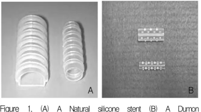 Figure  1.   (A)  A  Natural  silicone  stent  (B)  A  Dumon  silicone  stent 개발하였는데  이것이  현재  전세계적으로  가장  널리  사용되고  있는  기도스텐트인  Dumon  스텐트이다 4 