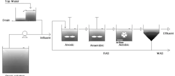 Fig. 1. Schematics diagram of the DMR process.
