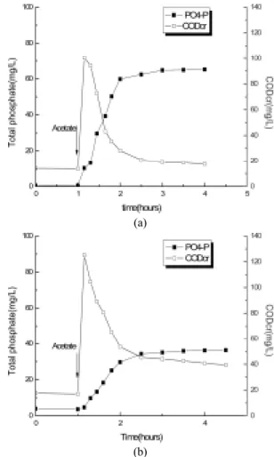Fig. 10. Removal efficiency of T-P with respects to air flow. 발한  인  방출이  발생한  이유는  본  공정에  내부반송이  없고,  외부반송으로  유입된  NO X -N의  농도가  낮아  인  방출에  저 해요소로  작용하지  않았기  때문으로  사료된다