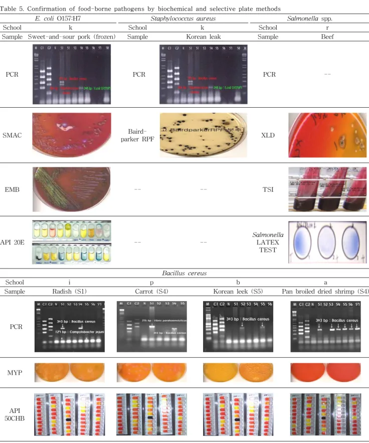 Table  5.  Confirmation  of  food-borne  pathogens  by  biochemical  and  selective  plate  methods