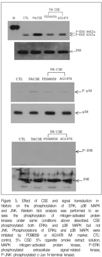 Figure  4.   The  effect  of  cell  signal  transduction  inhibi