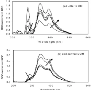 Fig. 2. Relative changes of the SUVA of the samples from a  litter DOM and a soil-derived DOM during the  incuba-tion