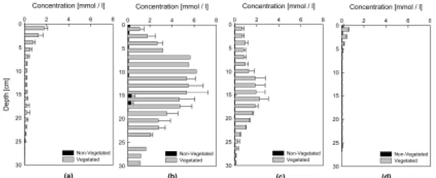 Fig. 2. Comparison of SO 4 2-  concentrations in the rhizosphere  of the vegetated and non-vegetated sediments during  2003.